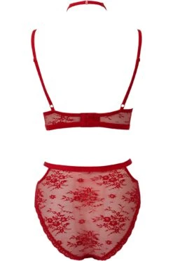 Sheer Evil Bra [SCARLET] -Killstar Store SheerEvil BLOOD SB